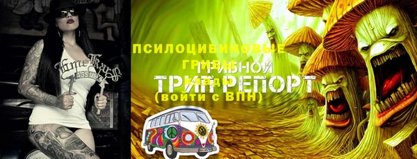 метадон Богородск